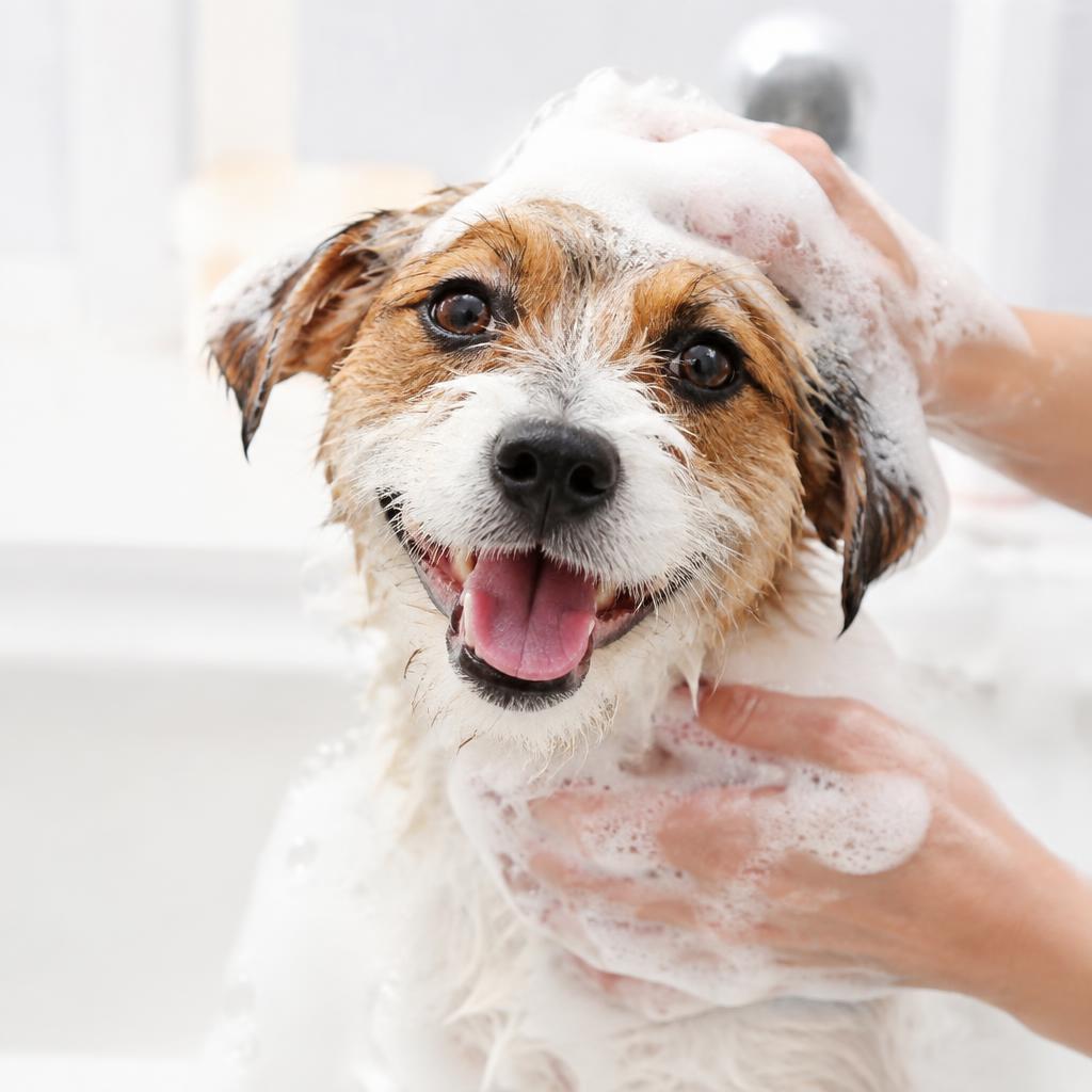 A happy dog enjoying a warm bubbly bath
